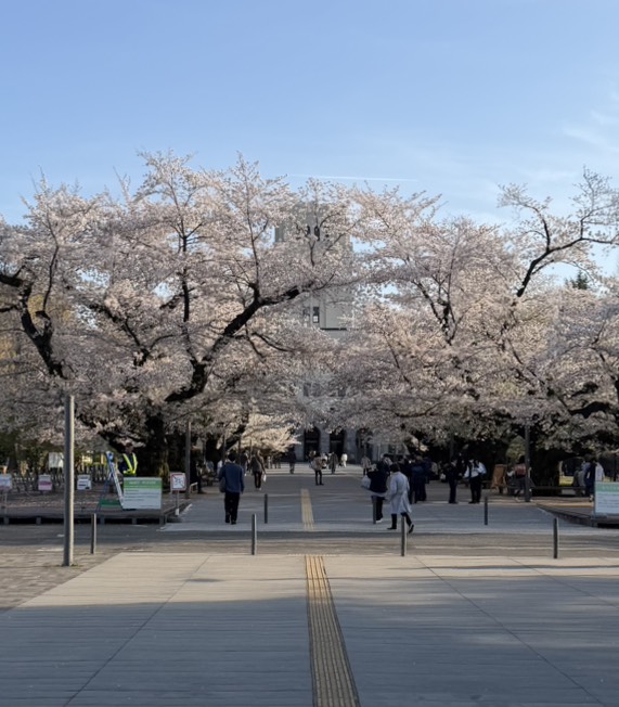 東工大の本館の画像です。受験生などが見て、目指すきっかけとなったり、モチベーション向上のために美しい大学の景観を添付しました。